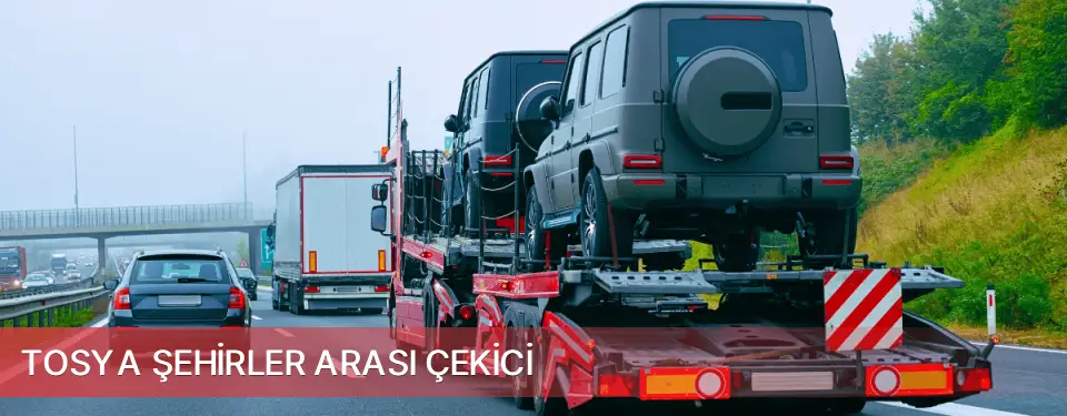 Tosya İlçemi Şehirler Arası Çekici